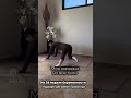 Безопасная зарядка