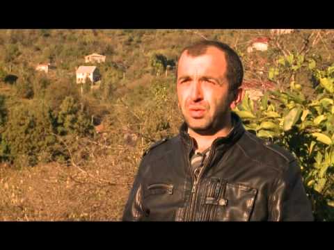 რძის მიღება გადამუშვება,ყველის წარმოება