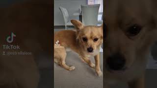 Si Ya Sabe Como Soy Pa Que Me Encarga A La Escuincla