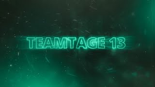 Teamtage 13