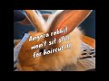 3 month old angora rabbit won't sit still for haircut