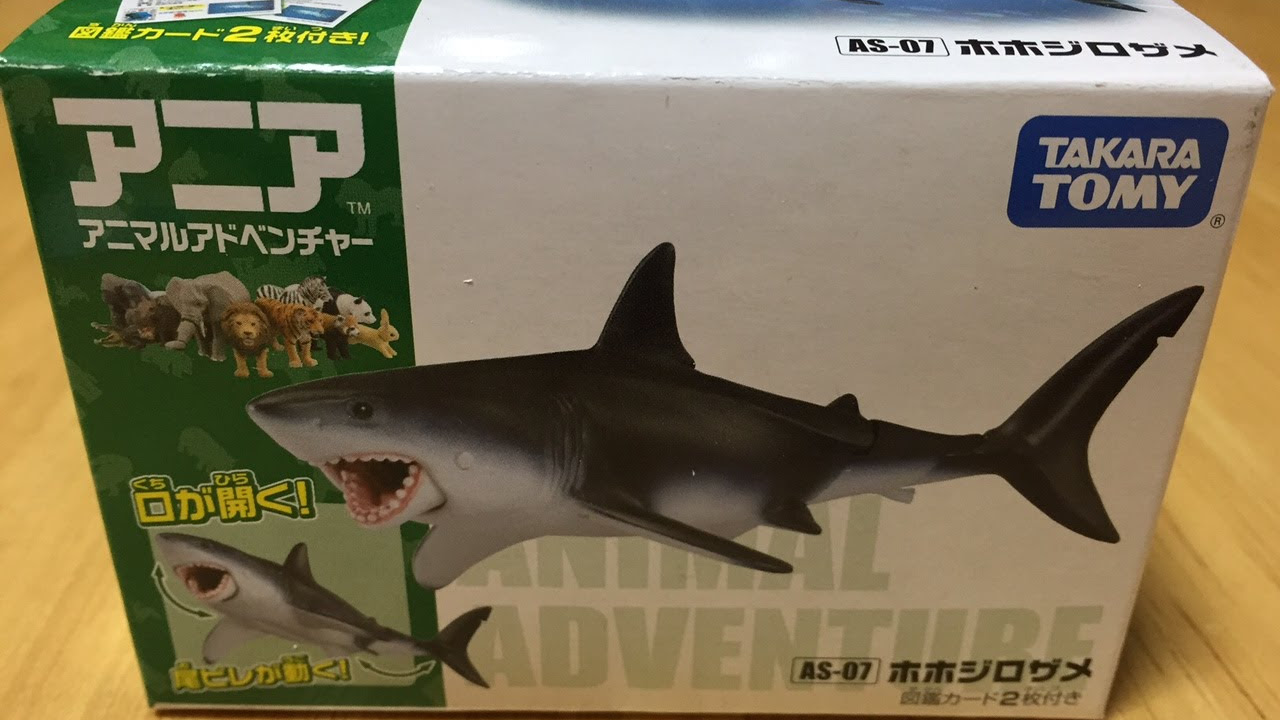アニア　ホオジロサメ アニア ホオジロサメ アニア AS-07 ホホジロザメ (動物