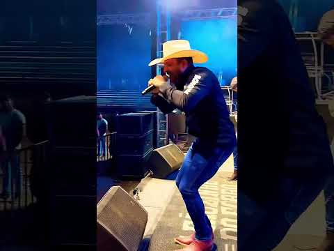 Leãozinho do forró