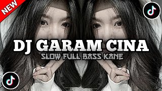 Download Lagu DJ GARAM CINA • PET POLIPET ANGKA 7 VIRAL TIKTOK JEDAG JEDUG MENGKANE!!!  MP3