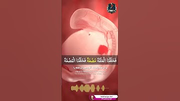 تلاوت کوتاه و فوق العاده زیبا سوره مومنون آیه ۱۴ از استاد شیخ عبدالباسط #قرآن #Quran