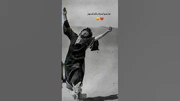 ما و مجنون هم سبق بودیم در دیوان عشق Shortsyoutube Video Explore Music 
