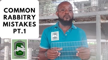 Trinidad Rabbit Farming - Common Rabbitry Mistakes Pt 1