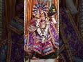 Special puja on Saturday, today in Bajrangboli mandir#shorts#ytshorts #trending#pronam Hanumanji#joy