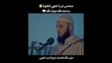 "تلاوة خاشعة تهز القلوب وتُبكي العيون | الشيخ أحمد العربي"