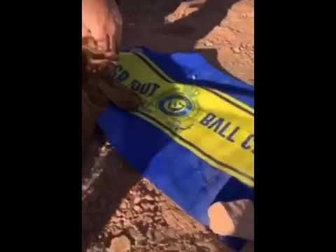 بشروني أخبار الضغط يا النصر