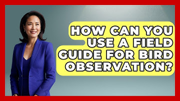 How Can You Use a Field Guide for Bird Observation? | Bird Watching Diaries