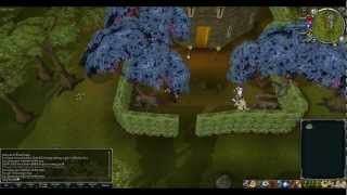Runescape Magic Tree Guide