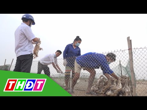 Video Đồng Tháp: Tiêu độc sát trùng vệ sinh thú y phòng... - youtube