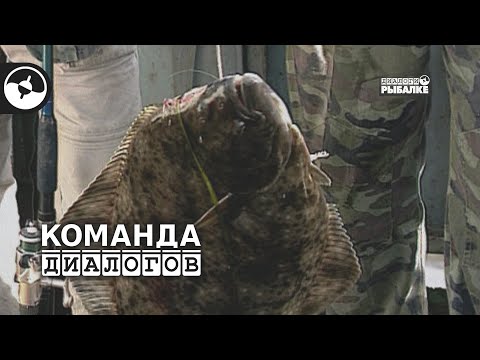 Камчатка. Море. Палтус | Классика