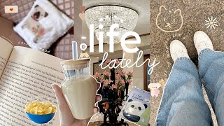 Days in my life 🐻 | Aesthetic vlog Indian |  skincare, coffee, food, family dinner date n more