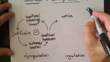 Emotional regulation, dysregulation and entrepreneruship