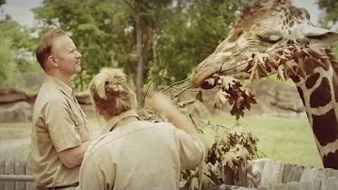 Morgan Spurlock Inside Man Zoos Trailer