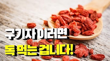 고지베리 이렇게 먹으면 독 먹는 겁니다! 구기자 효능과 부작용 제대로 알고 드세요!