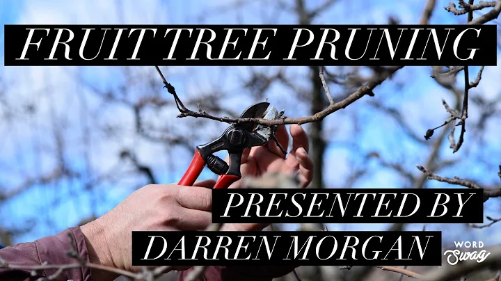 Fruit Tree Pruning - Zoom class recording