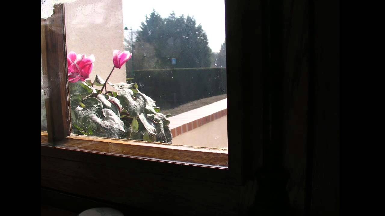 Survitrage magnetique BOURDON christophe Entreprise tel: 07 60 51 74 17