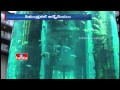 Huge aquarium in Berlin enthralls viewers