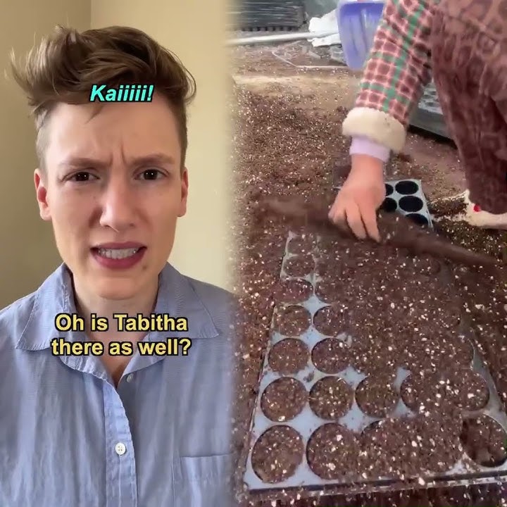 🏳️🌈pronouns & honorifics at school #mx #lgbt #lgbtq #schoollife