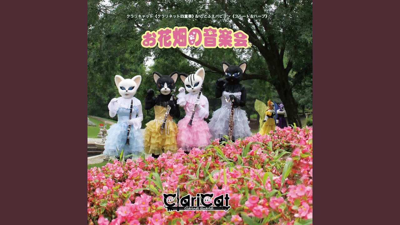 クラリネットをこわしちゃった