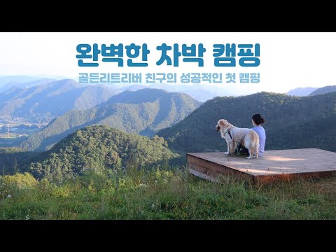 이렇게 좋을 수 있나요 🌿너무 좋았던 차박 캠핑 / My perfect Autumn car camping