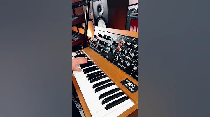 Parliament - Flashlight  synth bass on a Moog Minimoog #parliament #moog #shorts