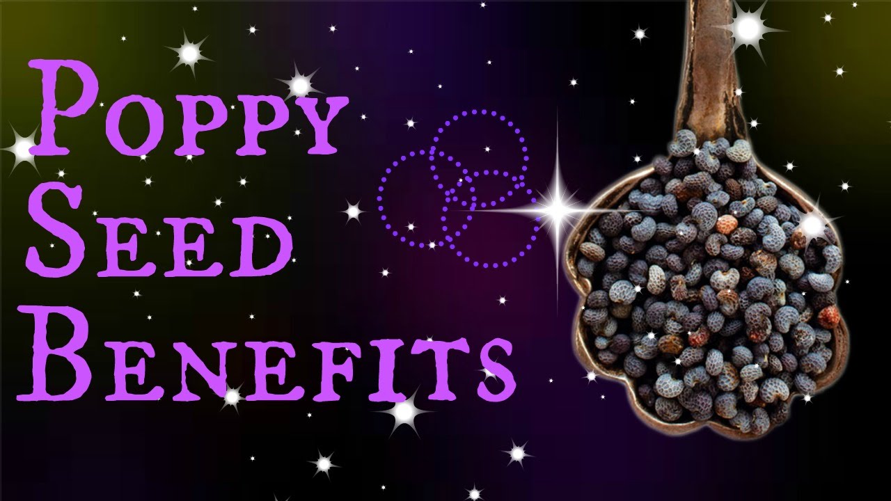 Poppy Seed Benefits | In ONE Minute! - YouTube