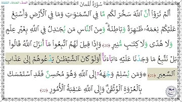 سورةُ لُقْمانَ (20 - 22) عبد الرحمن شاهين