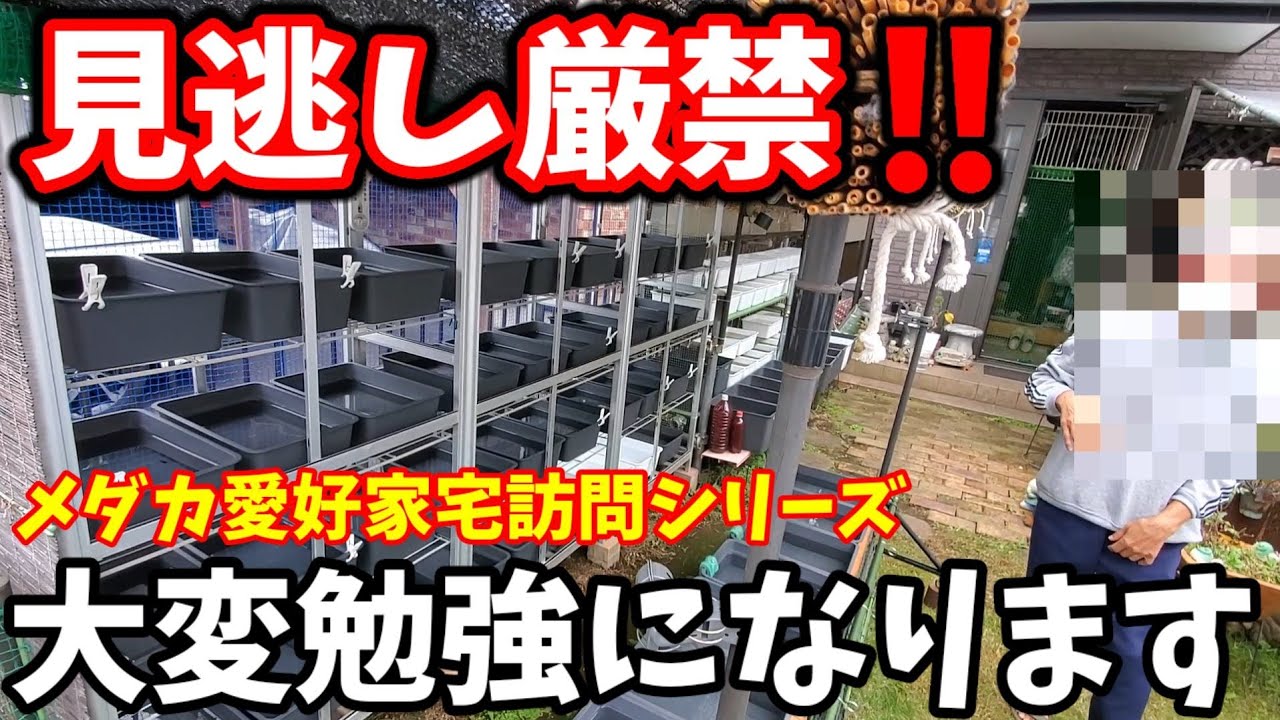 見逃し厳禁‼️メダカ飼育のアイディア満載‼️めだか愛好家だけでなく○○愛好家でもある！！大変勉強になります。楽しいわ～🎵安らぎAQUAちゃんねる