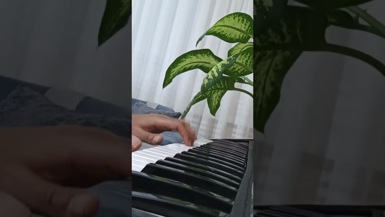 Korg pa900 Azeri ritim gitara sample