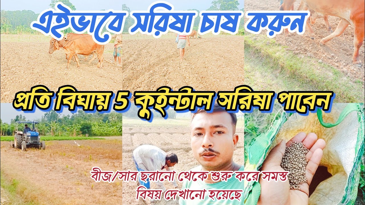 Opamga super porno keldi Shox buzuqlarning jinsiy aloqa videolari