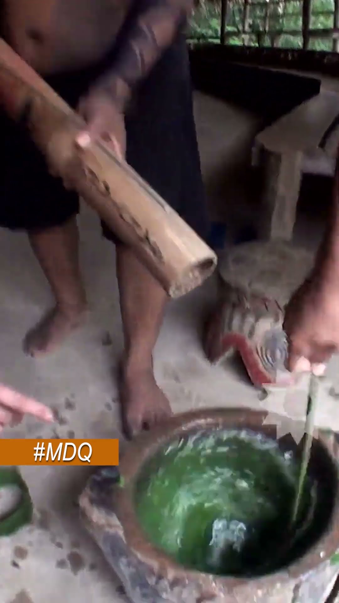 EL DOLOROSO RITUAL DE LA TUCANDEIRA CON LA HORMIGA BALA
