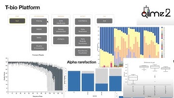 Analysis of 16S rRNA metataxonomics data on T-Bioinfo Server - QIIME2
