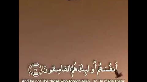 تلاوة من سورة الحشر الشيخ عادل ريان