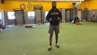 Explosive Tuck Jumps