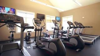 Athlete Statistics Tidewater at Salisbury Apartments in Salisbury, MA - ForRent.com