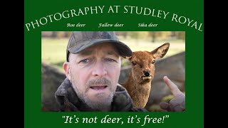 It&#39;s not deer, it&#39;s free  -   deer photography at Studley Royal Deer Park, Ripon