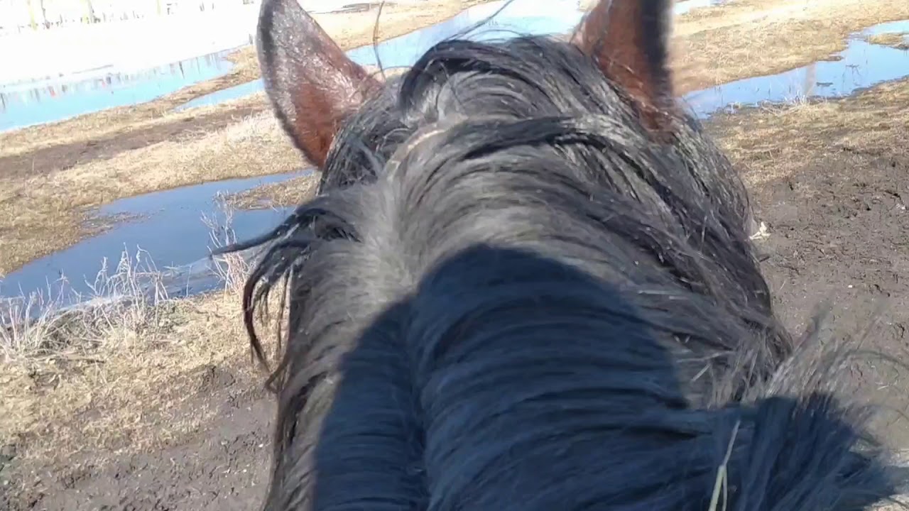 Мчится конь подо мной. - YouTube