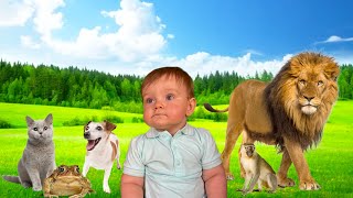 Farm vs Wild Animals Sounds! 🦧 Guess the Animal Challenge screenshot 3
