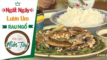 Đặt Trúm Bắt Lươn Nấu Món Lươn Um Rau Ngổ - Đặc Sản Miền Tây - Du Lịch SayHi
