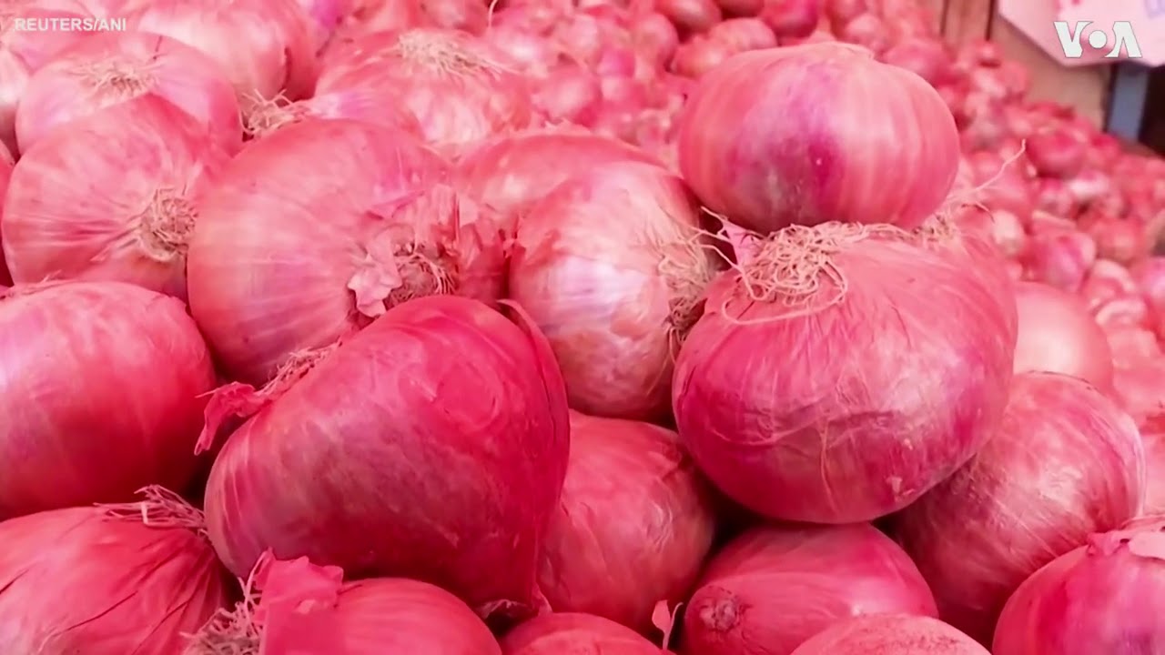 India's Onion Crisis: Rising Prices, Shrinking Stocks | Why is there an onion crisis in India?|onion
