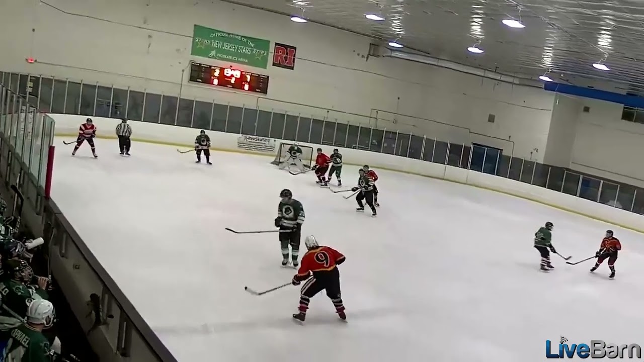 Some Competitive Men's League Hockey