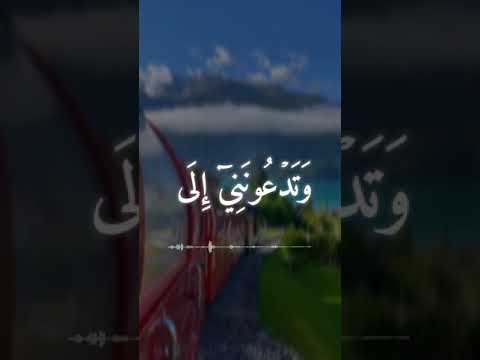 خالد الجليل حالات واتس خشووع 