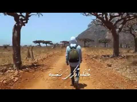 قل للمحبه بسم الله تتر برنامج قلبي اطمأن