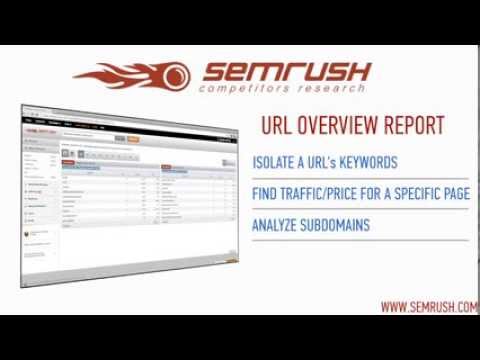 SEMrush URL Overview Report