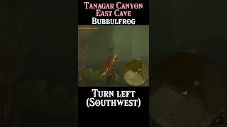 Where To Find Tanagar Canyon East Cave Bubbulfrog | #Zelda Tears of the Kingdom #totk