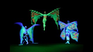 IMAGE Black Light Theatre - performance Afrikania - trailer